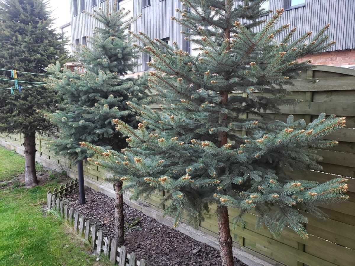 Apartament Aga13 Mikołajki Zewnętrze zdjęcie